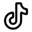 TikTok Icon